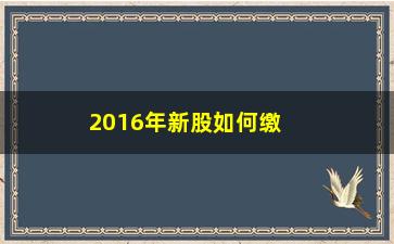 “2016年新股如何缴款